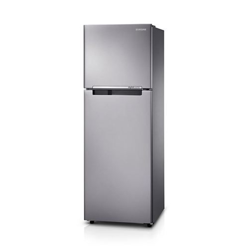 Samsung Kulkas Two Doors 255 L - RT25FARBDSA